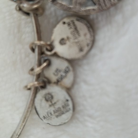 Alex and Ani Compass bracelet with box - Picture 7 of 16